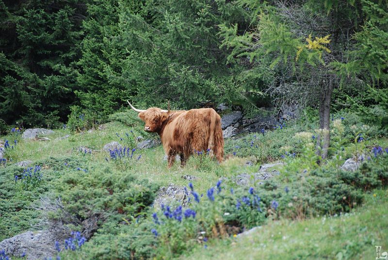 058.JPG